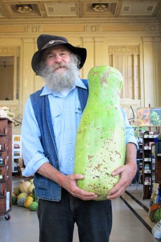 Gorgeous Ornamental Gourds